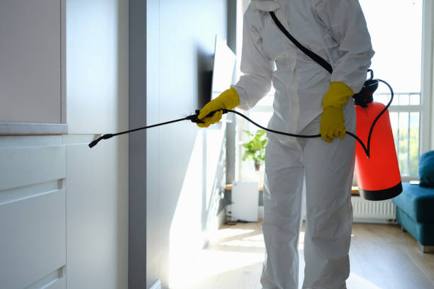 Best Professional Mold Removal  in Blauvelt, NY