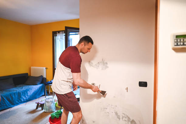 Best Mold Testing  in Blauvelt, NY