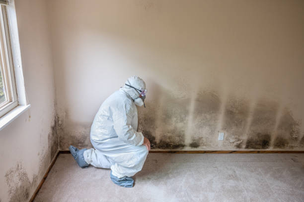 Crawl Space Mold Removal in Blauvelt, NY